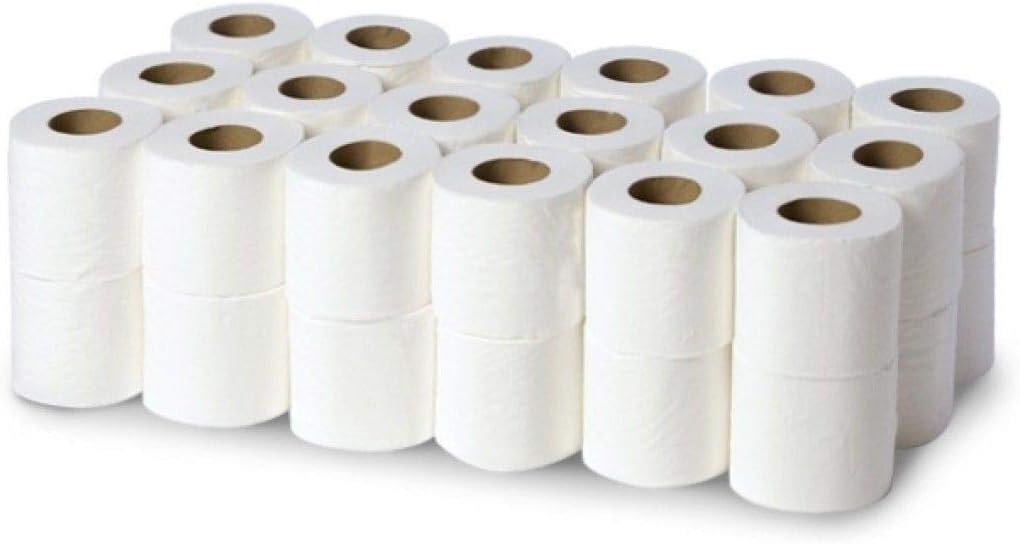 144 Rolls x Toilet Tissue Bulk Large Pack Quality White 2 ply Embossed Economical Tissue