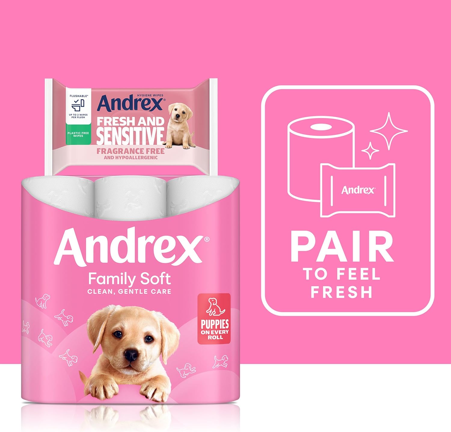 Andrex Family Soft Toilet Paper 24 Rolls (Previously Andrex Gentle Clean) Gentle on your Family’s skin– Pack of 24 Toilet Rolls, 170 sheets Per Roll, FSC Certified