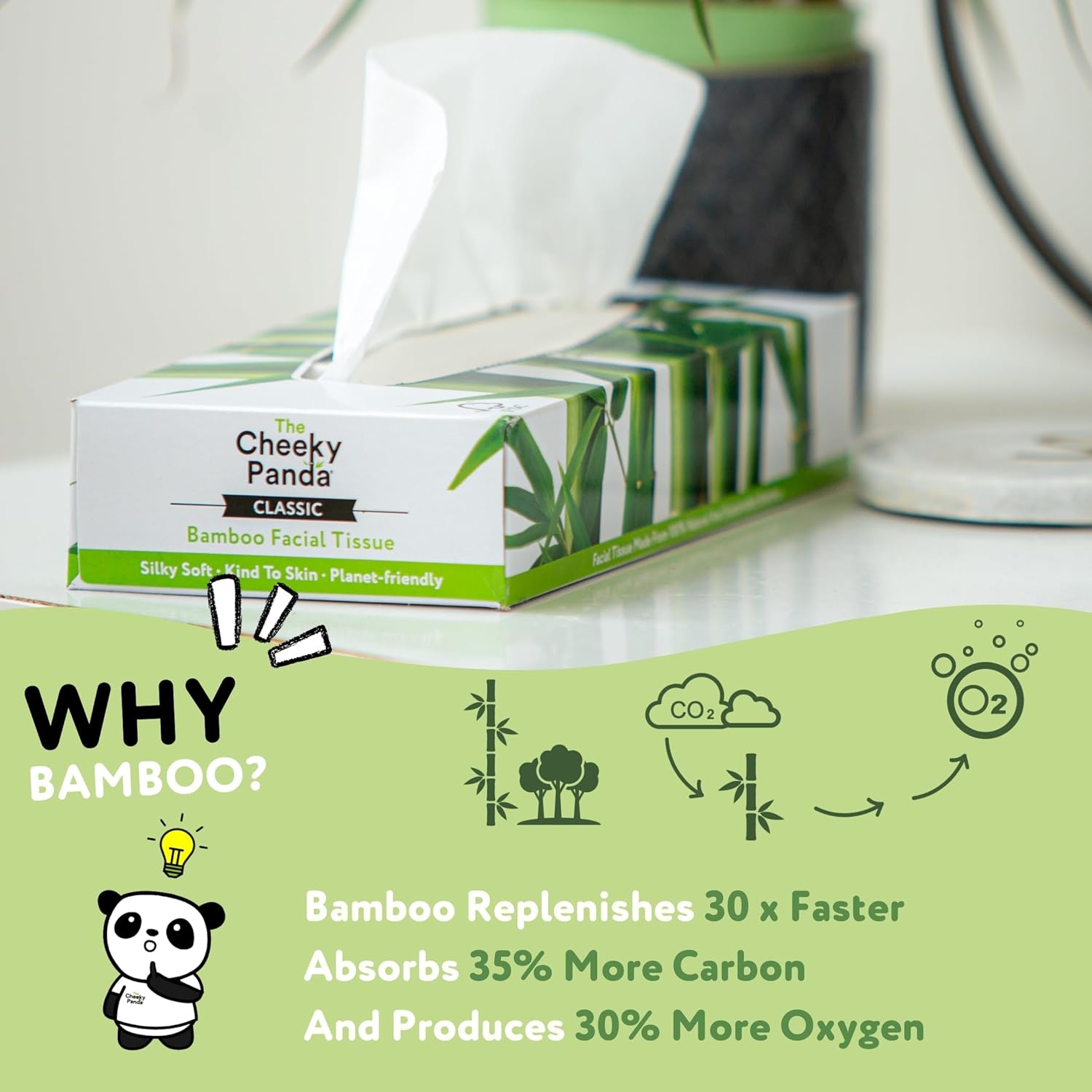 The Cheeky Panda Bamboo Facial Tissues Box Multipack | 12 Boxes of Tissues (960 Tissues) | Silky Soft and Sustainable Face Tissues