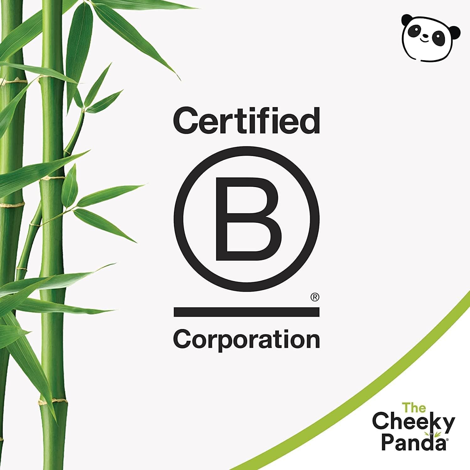 The Cheeky Panda Bamboo Kitchen Roll | 10 Kitchen Rolls - 1000 Super Strong Sheets | Naturally Strong and Absorbent Plastic Free Kitchen Paper Towels